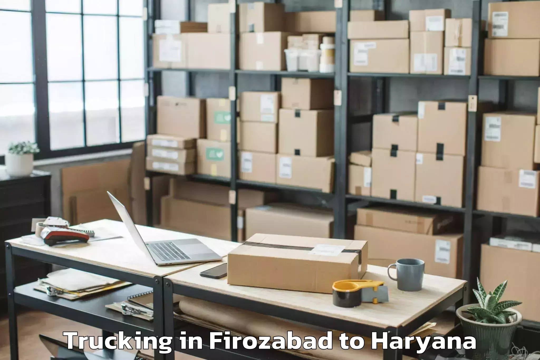 Top Firozabad to Sahara Mall Trucking Available